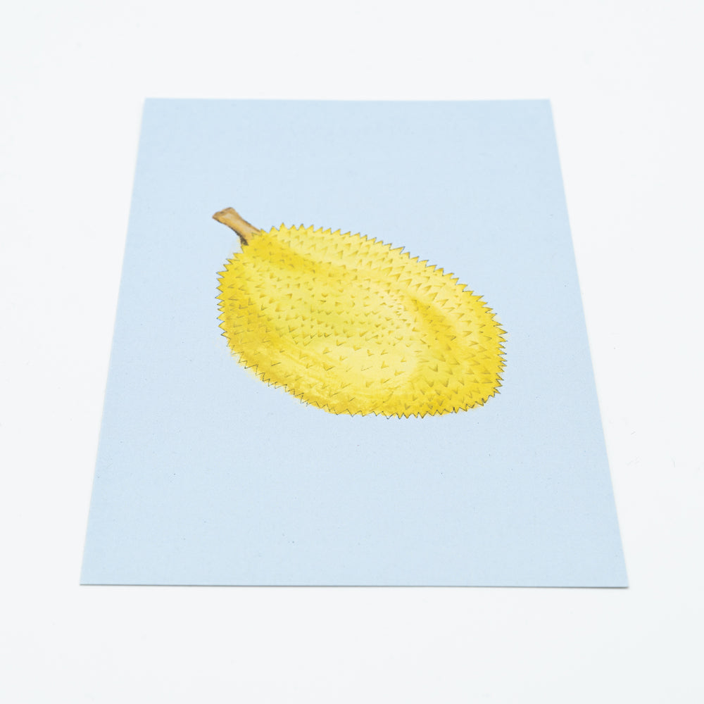 Postkarte Durian