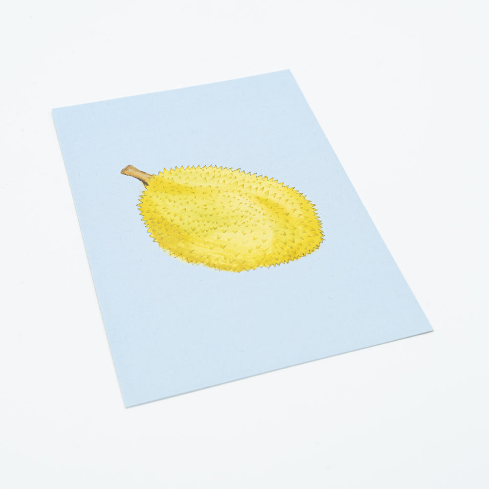 Postkarte Durian