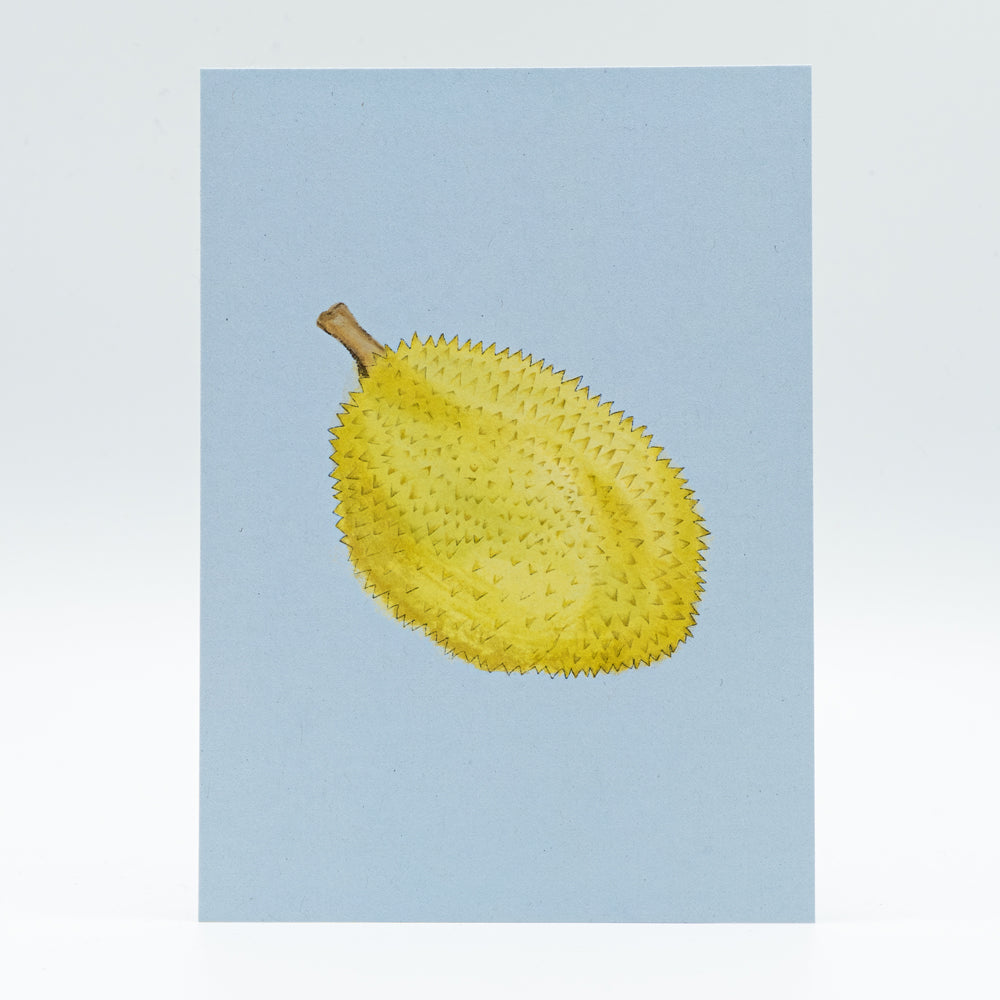 Postkarte Durian